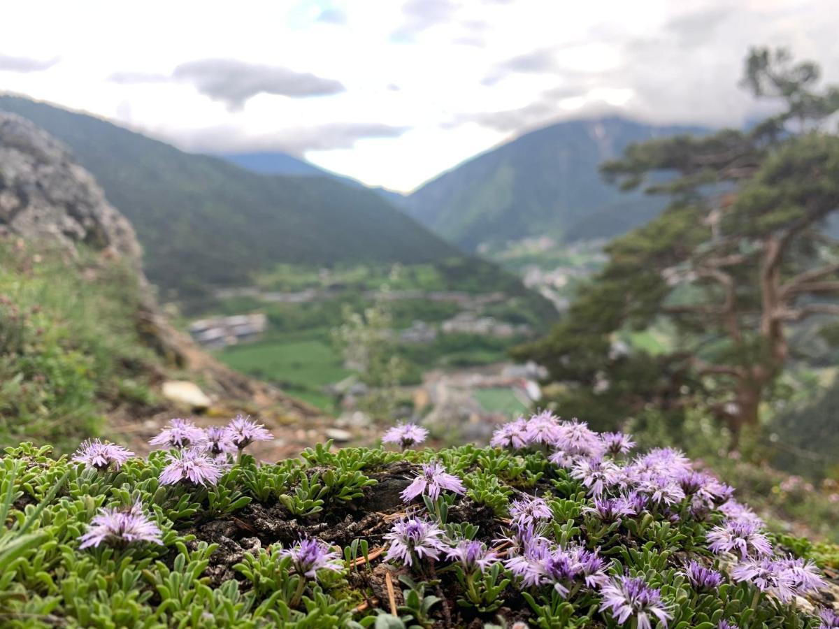 Maians - Peu Del Riu 122 - Vall D'Incles - Soldeu ภายนอก รูปภาพ
